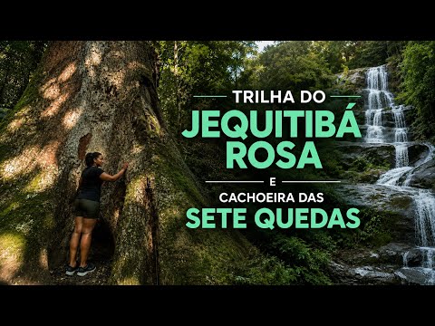 Trilha Jequitibá Rosa e Cachoeira das Sete Quedas em Cachoeiras de Macacu.