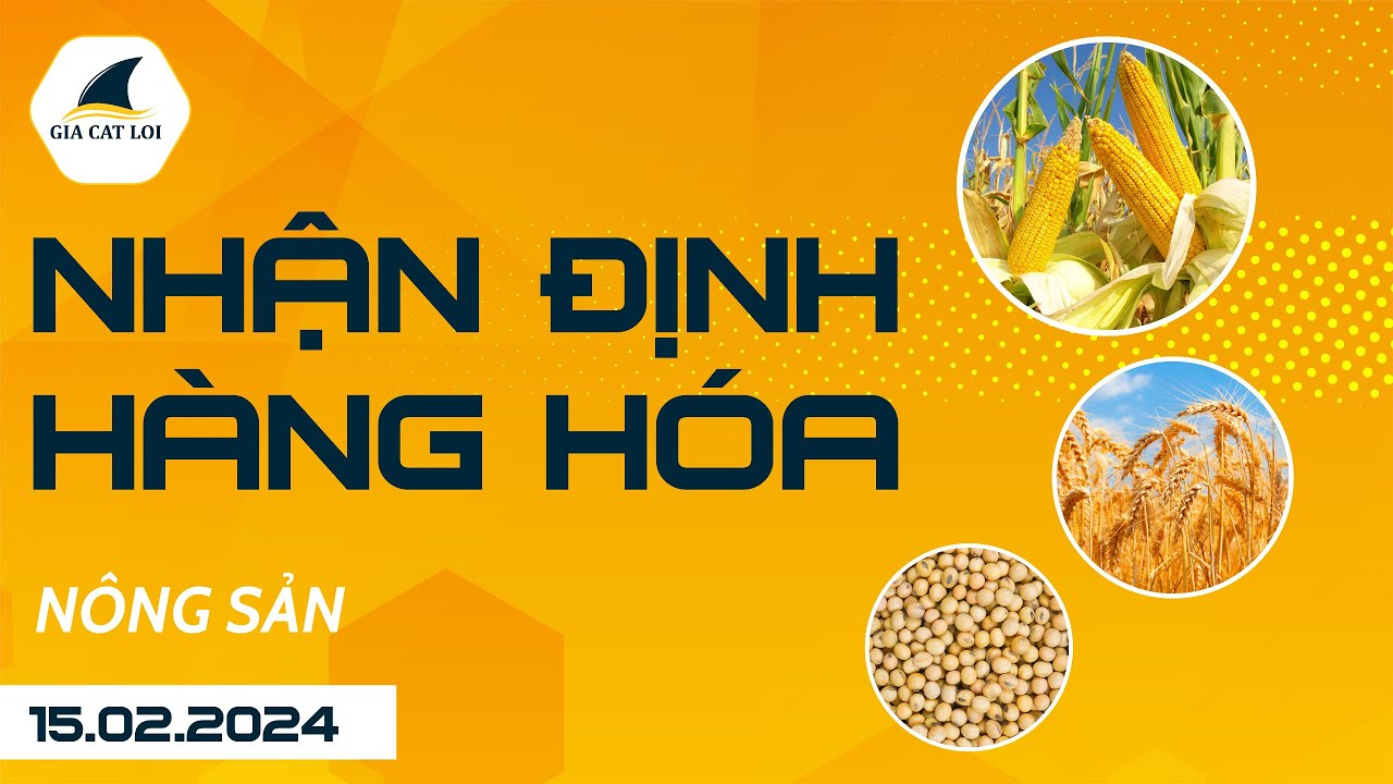 Nhận Định Thị Trường Nông Sản Ngày 15/02/2024