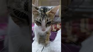 Download lagu August 11, 2023 mp3