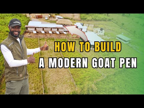 Starting A New Farm: BUILDING The Perfect GOAT PEN From Scratch - Complete Guide!