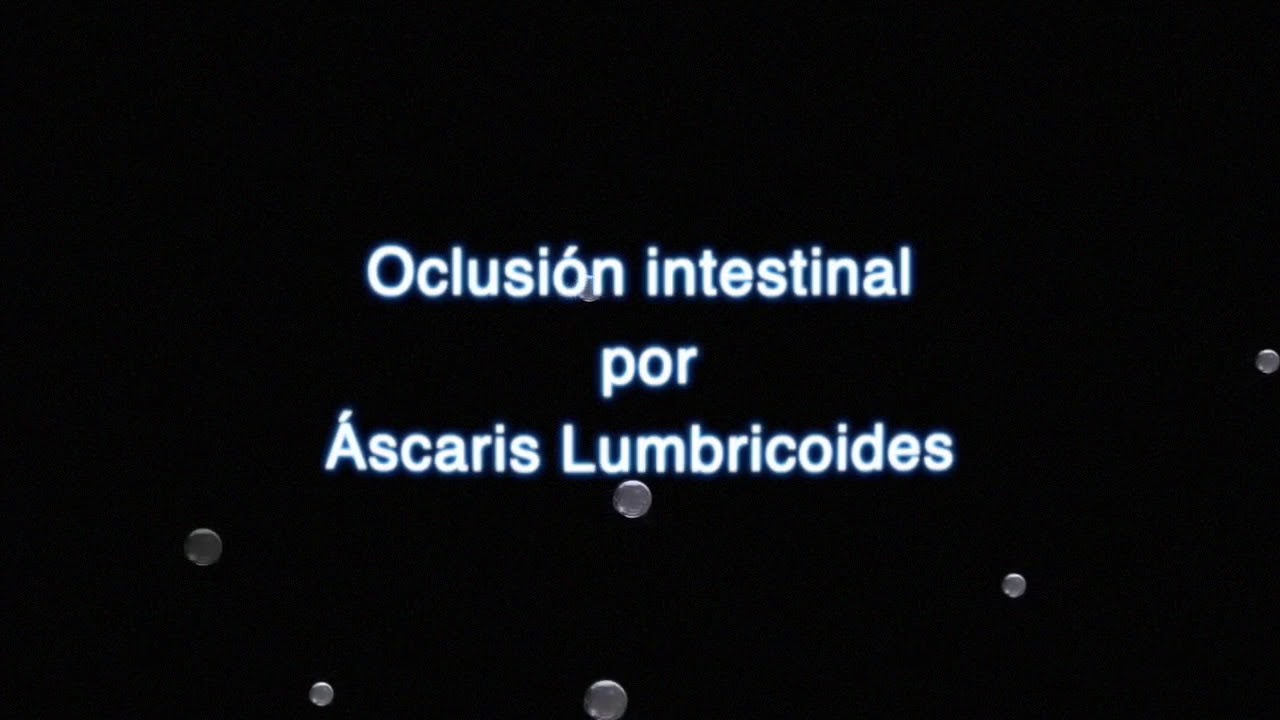 Ibrahim López Peralta-12