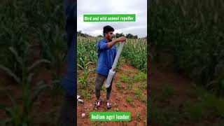 Download lagu pengusir burung dan binatang liar. mp3 Download lagu pengusir burung dan binatang liar. mp3