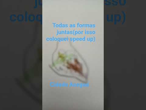 cidade Aceguá#riograndedosul#shorts#aceguá