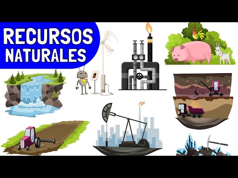 ¿Qué son los RECURSOS NATURALES? (Con Ejemplos y Explicación)☀️