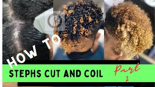How To Cut and Style Stephs Short Finger Coils Part 2