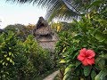 Caribbean Coast - Primitive junglelife in Rio dulce Guatemala