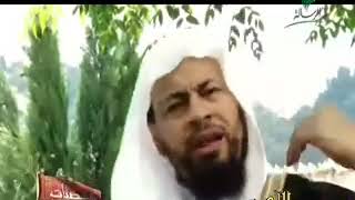 صورة محمد موسى الشريف | شخصيات اندلسية | المنصور محمد القحطاني 3