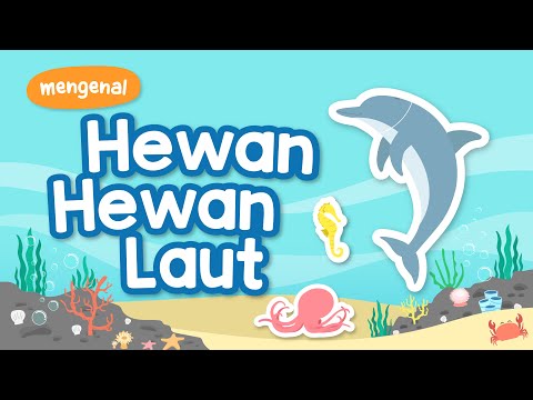 Belajar Mengenal Nama Hewan Laut (Kartun Anak Muslim) – Yufid Kids
