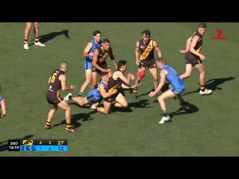 Grand Final Hostplus SANFL Snapshot - Glenelg's Luke Reynolds gathers and snaps