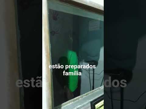 MC Amoroso ft Calvin By Nu início de tudo