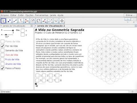 Geometria Sagrada - Flor da Vida
