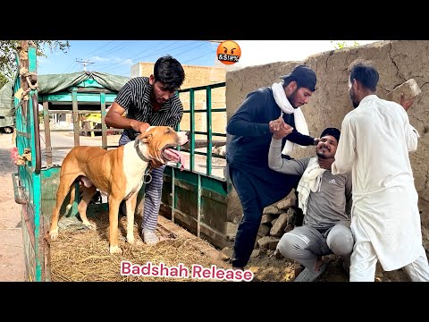 FINALLY BASSAM SY BULLY DOG BADSHAH AZAD KARVA LIA 🤬