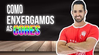 Como Enxergamos as Cores - frequências e absorção - Física (ANDRÉ PAKITO)