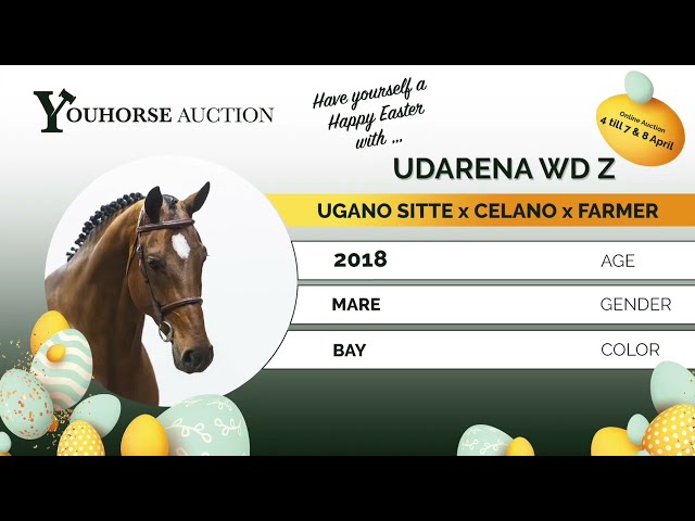 Udarena showvideo indoor