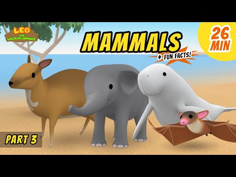 Mammals (Part 3/8) - Fun, Exciting Animals Stories for Kids | Educational | Leo the Wildlife Ranger
