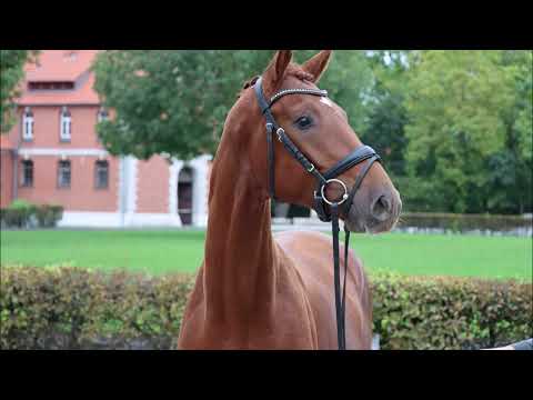 For Joy v. Floris Prince - Belstaff