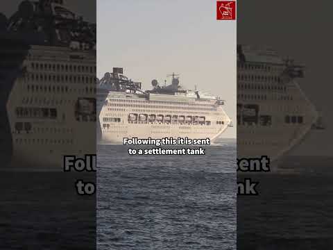 Thumbnail for Where does all the poop go on a cruise ship? 💩