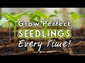 Seed Starting Success Sow Like A Pro