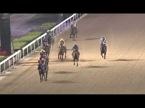 2022-01-28 Macau Meeting Race 5(0133) - THE HAMBURG (Div 2)