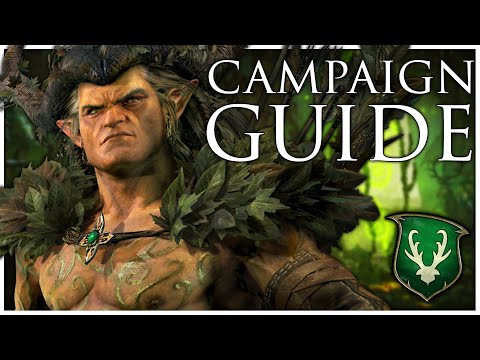 Wood Elves Immortal Empires Campaign Guide | Total War Warhammer 3