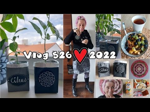 Vlog 526/22 - krabicová prokrastinace a hot chilli salát