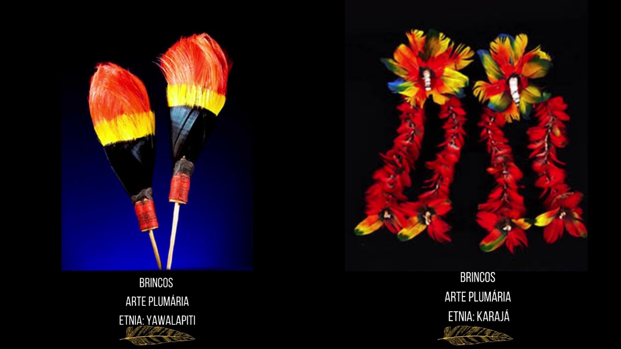 Arte Plumária Indígena Brasileira