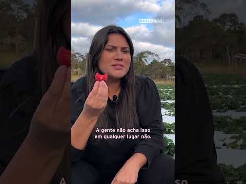 🍓Morango do Norte de Minas?