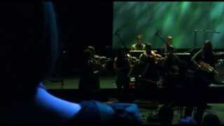 Metsän sävel (Levyn julkkari live)