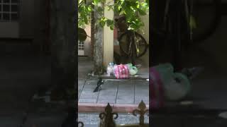 Re: [閒聊] 今天垃圾車要等多久？