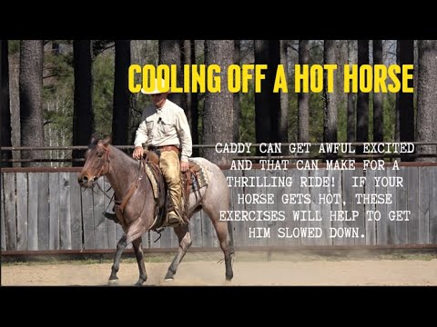 How to Slow Down a Hot Horse Preview