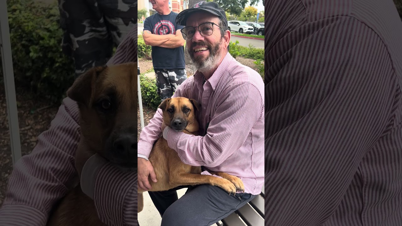 Enlarge Myrtle, a ADOPTABLE mixed breed in Carlsbad, CA video 1/2