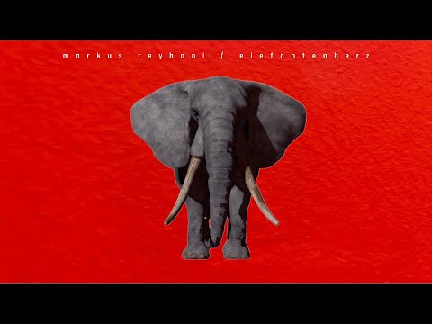 Markus Reyhani - Elefantenherz (Visualisation Music Video)