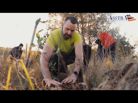 Czas na las - AsstrA team planting trees