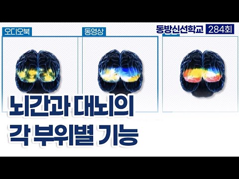 기초(숨) 수행과정