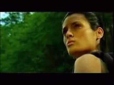 Sistem - Senzații [2002]