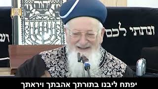 כח התפילה של ילד - מרן הרב מרדכי אליהו (הרב מרדכי אליהו זצ"ל) - התמונה מוצגת ישירות מתוך אתר האינטרנט יוטיוב. זכויות היוצרים בתמונה שייכות ליוצרה. קישור קרדיט למקור התוכן נמצא בתוך דף הסרטון