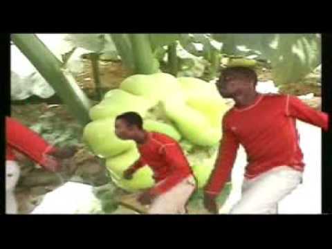 Hamed Smani - Zalissa