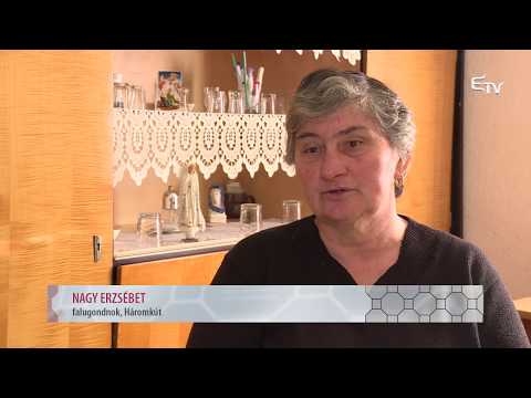Artériák: Nagy Erzsébet – 2018. február 27.