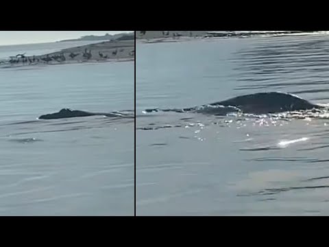 Youtube video image