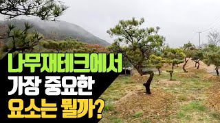 나무 재테크에서 가장 중요한 요소는 무엇일까 | 나무대장
