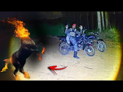 MULA SEM CABEÇA ME ATACOU NA ESTRADA ( folclore brasileiro )