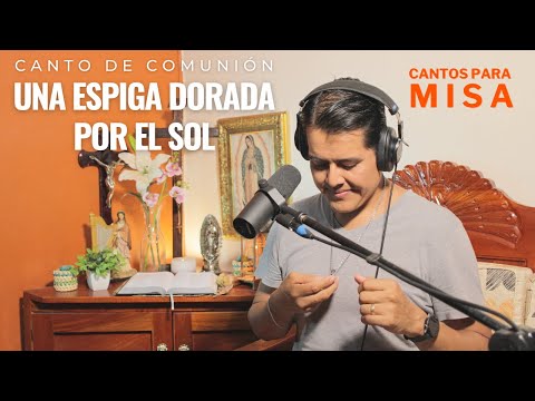 Una espiga dorada por el sol | Canto de comunión