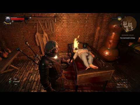 Where To Find A Female Dwarf in Witcher 3 Wild Hunt