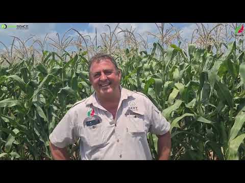 Henk van Ogies praat oor Kynoch Kunsmis #onspraatboer #landbou #boerdery #suidafrika