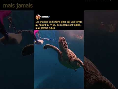 Il avait 0,0001% de chance que ça arrive