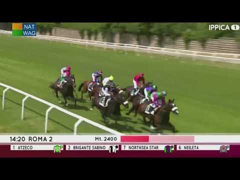 2022.05.22 Premio Carlo d'Alessio (ITA) - Atzeco