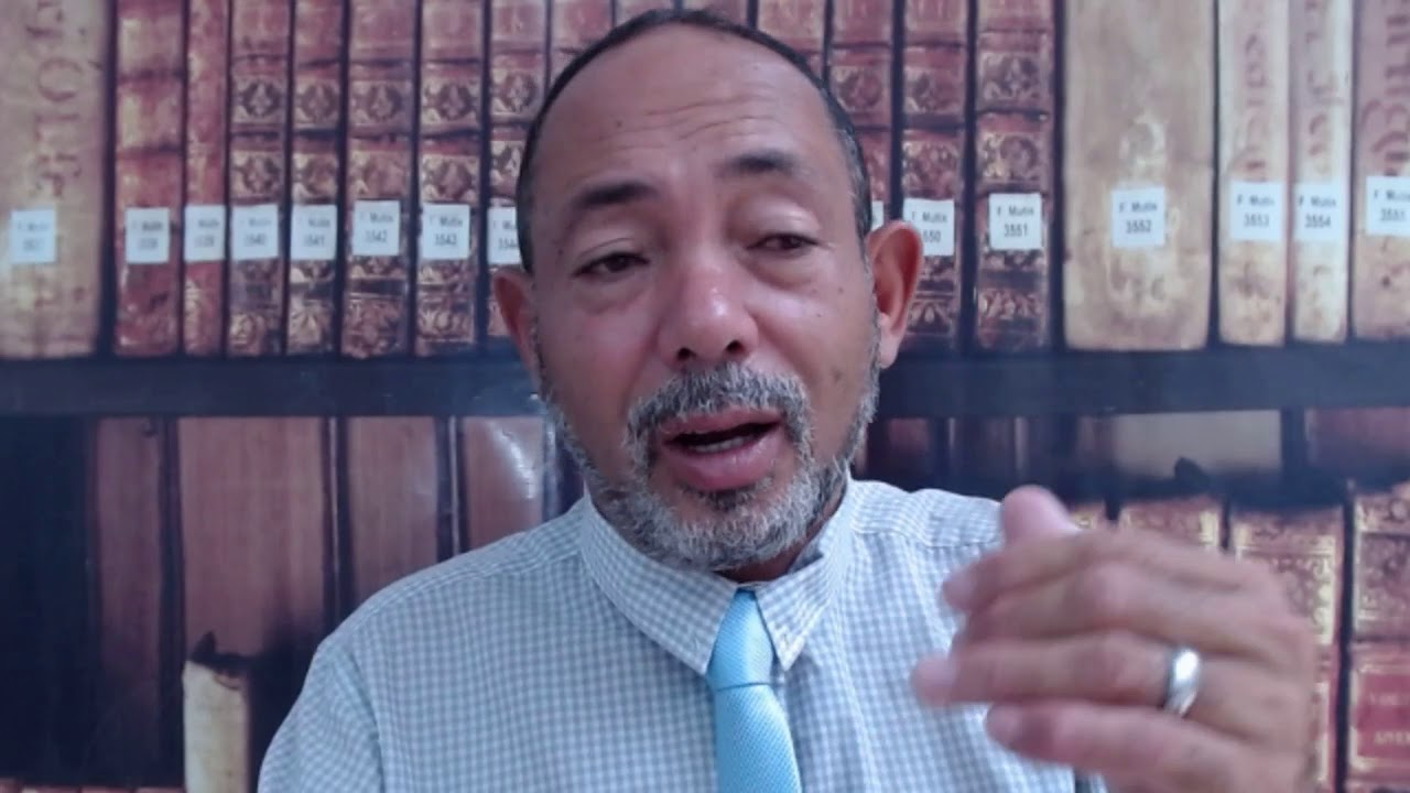 Sonhou com filhotes de gato preto sonhar com filhotes de animais  sonhar com animais o que significa