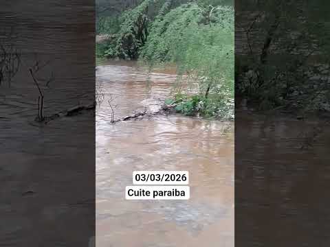 cuite paraiba