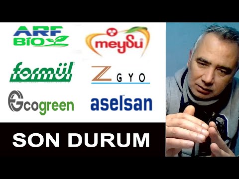Meysu - Arf Bio - Formül Plastik - Z gyo - EcoGreen - Aselsan Stock Analysis