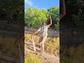 Chikiri Song Dance Shorts Chikirichikiri Chikirichikirisong Dance